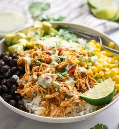 DUMP & GO Crockpot Chicken Burrito Bowls w/Applesauce